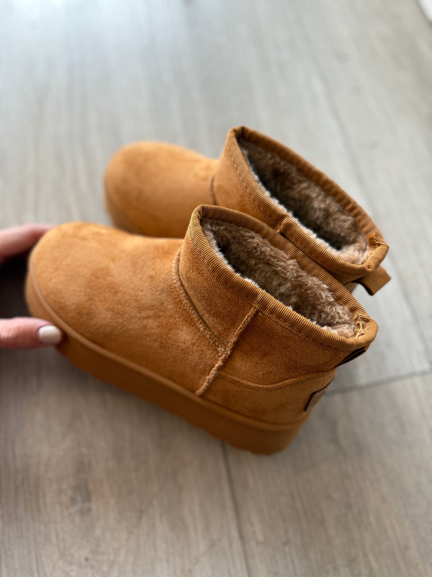 Mini Pantu Camel