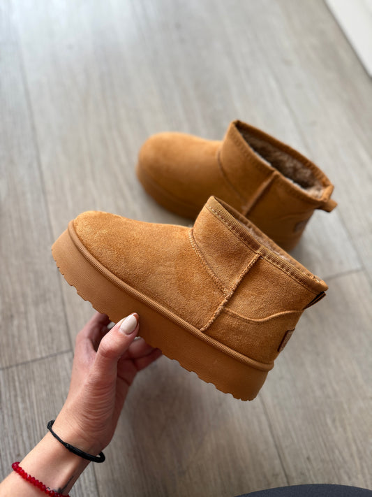 Mini Pantu Camel