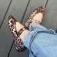 Ballerinas Leopardo